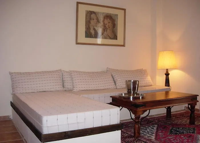 Ydna Family 公寓 波塞蒂