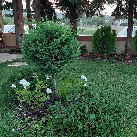 Ydna Family * Посиди